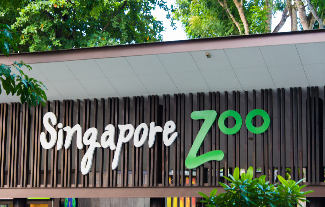 Singapore Zoo